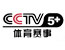 CCTV-4国际