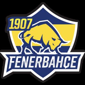 1907 Fenerbahce Esports队
