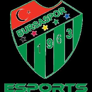 Bursaspor Esports队