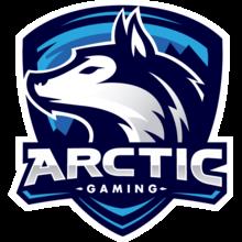 Arctic Gaming Mexico队