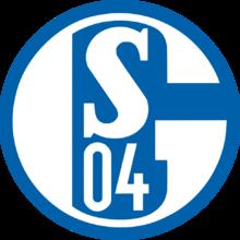 FC Schalke 04 Evolution队